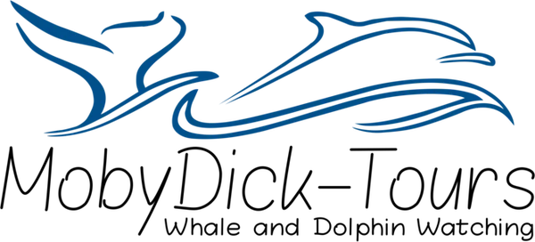 MobyDick-Tours · Whale and Dolphin Watching